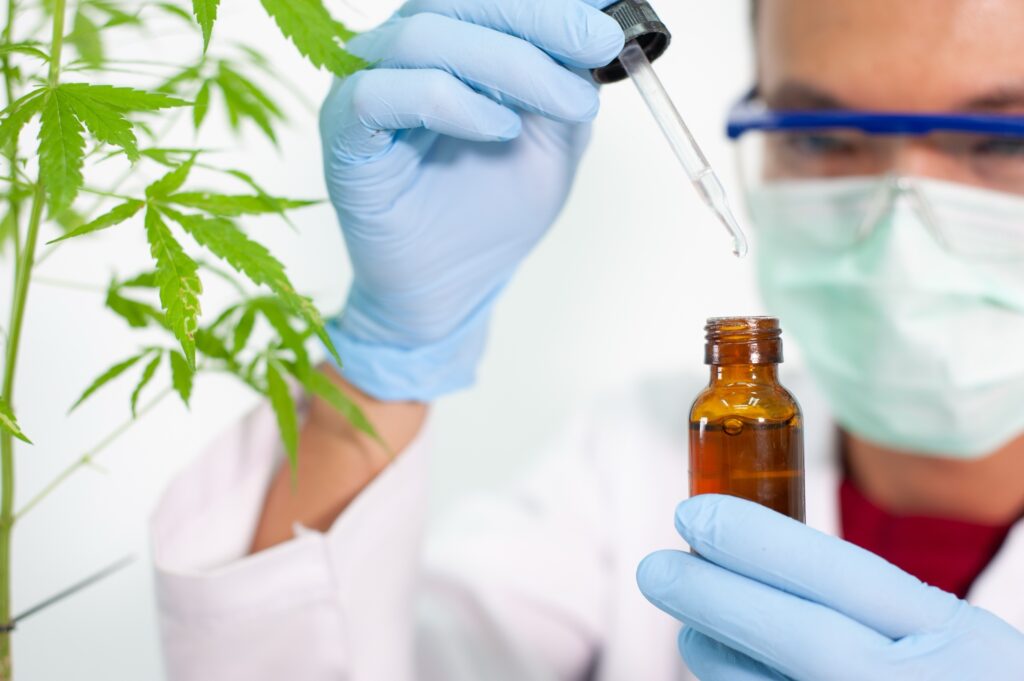Hemp extract being prepared in the lab